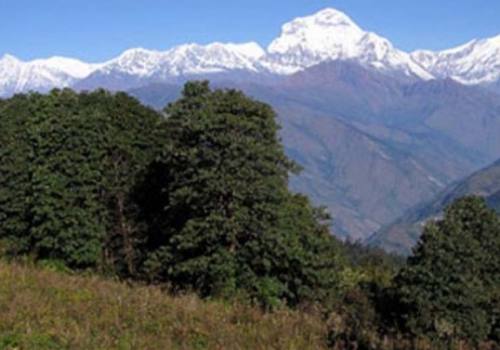 Kathmandu Nagarjun Mountain View Hiking