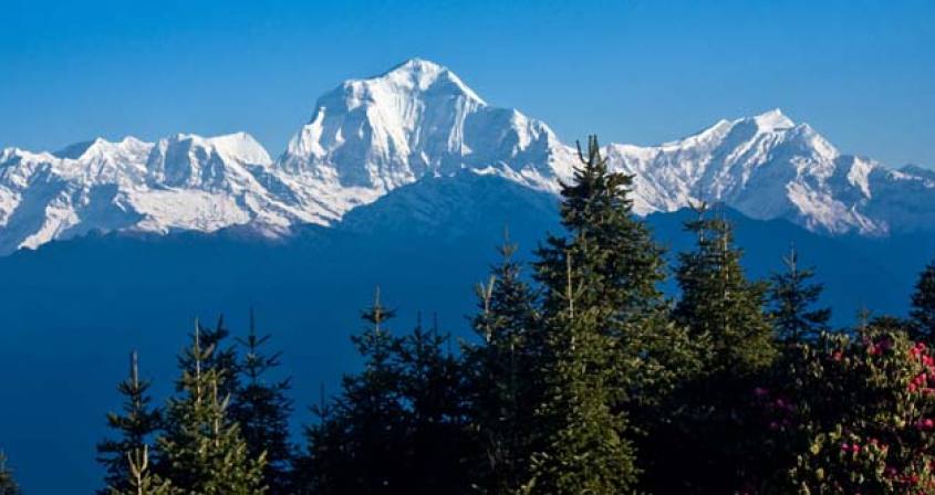 Dhaulagiri Expedition