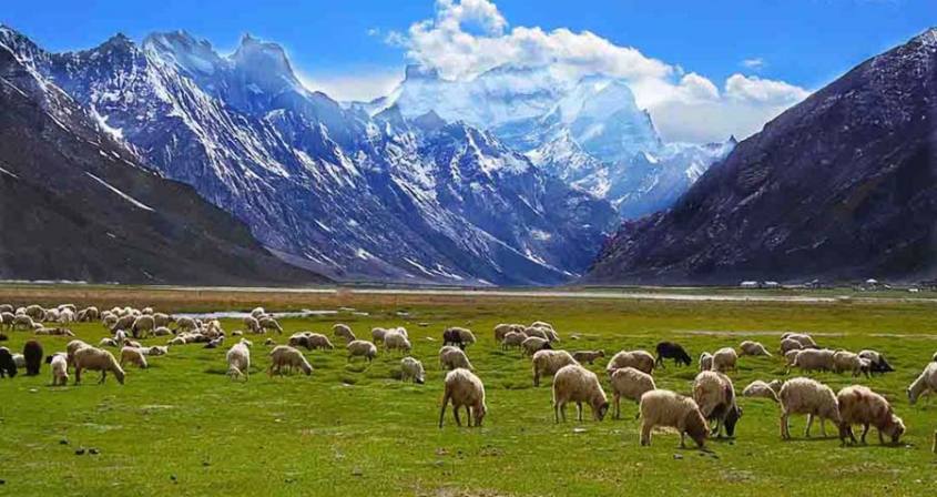 Laddakh Trek