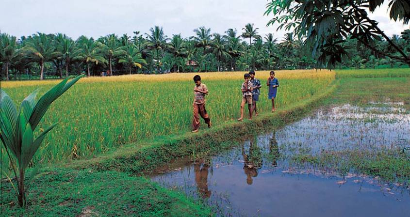 Rural India Tour