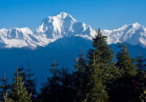 Dhaulagiri Expedition