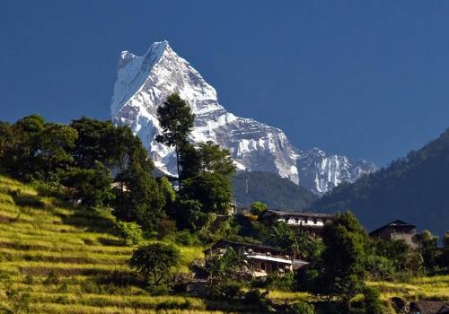 Ghorepani Poonhill Trekking