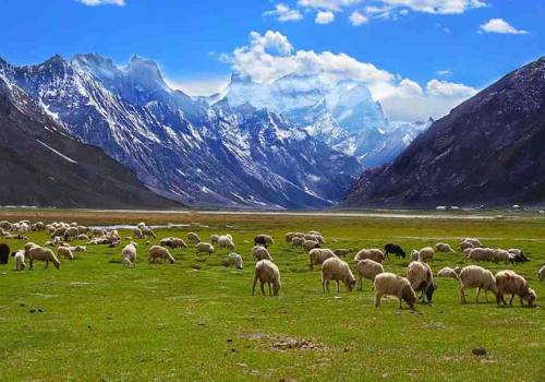 Laddakh Trek