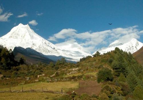 Langtang Valley Trekking