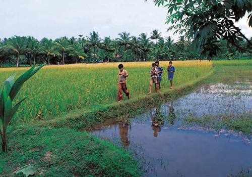 Rural India Tour